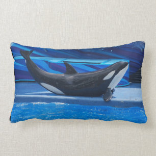 Rectangle Pose du coussin d'orque