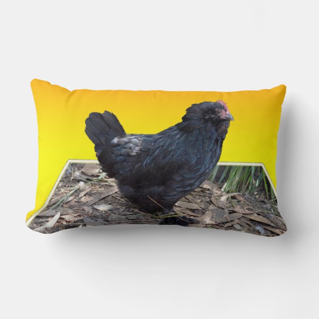 Rectangle Poulet Fluffé Noir Sur Jaune, Coussin Lumbar. (Recto)