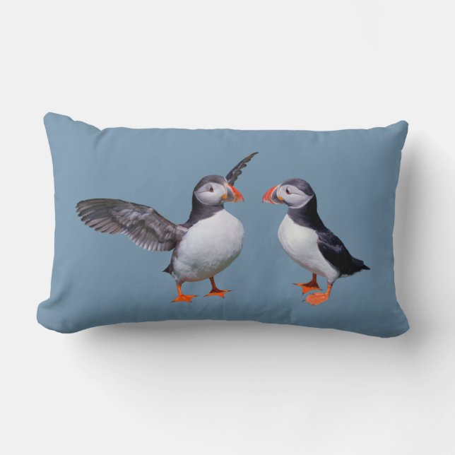 Rectangle Puffin Pals Coussin (Sky Blue) (Recto)