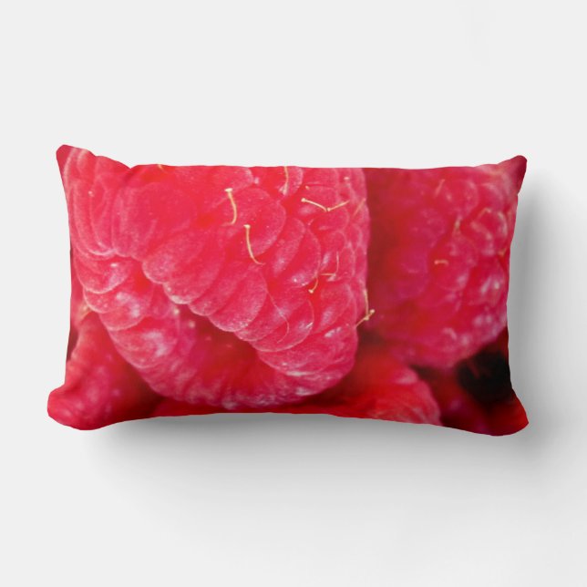 Rectangle Raspberry Delight Lumbar Coussin (Recto)