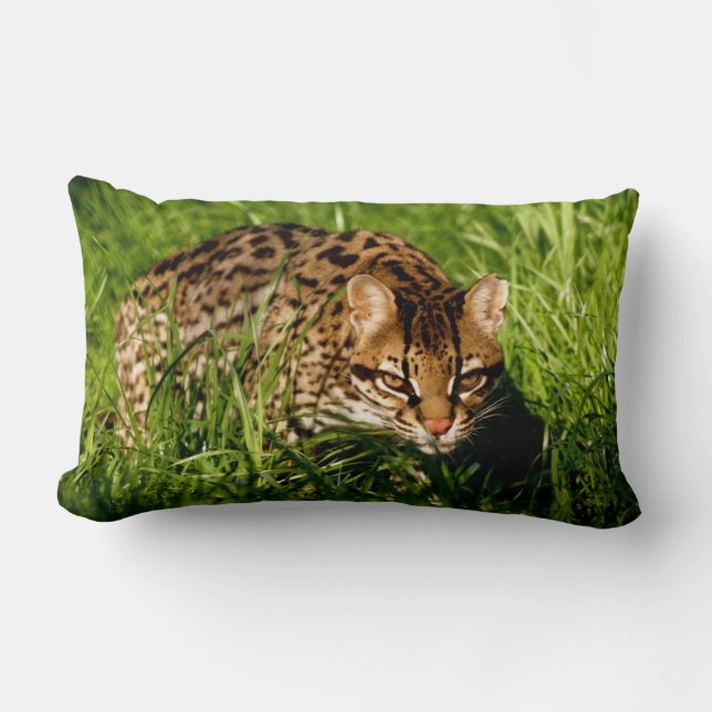 Rectangle Rio le coussin d'Ocelot (Recto)