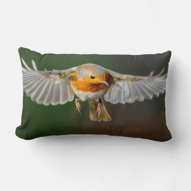 Rectangle Robin planant en vol coussin (Recto)