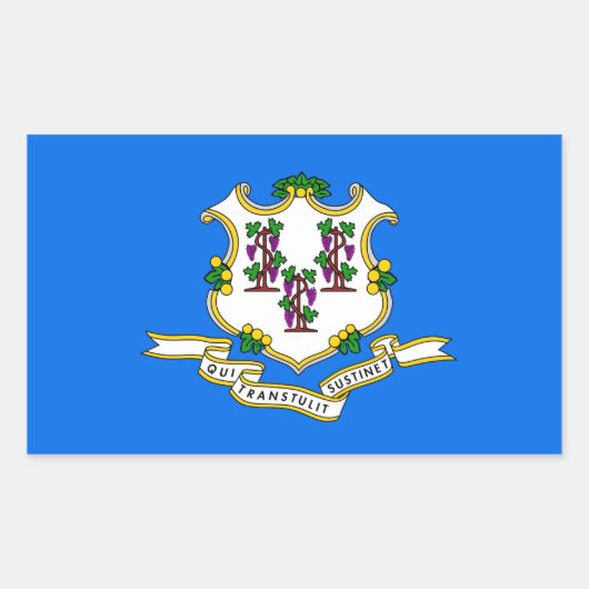 Rectangle sticker met Flag of Connecticut, U.S.A. (Voorkant)
