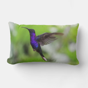 Rectangle Superbe coussin de colibri pourpre