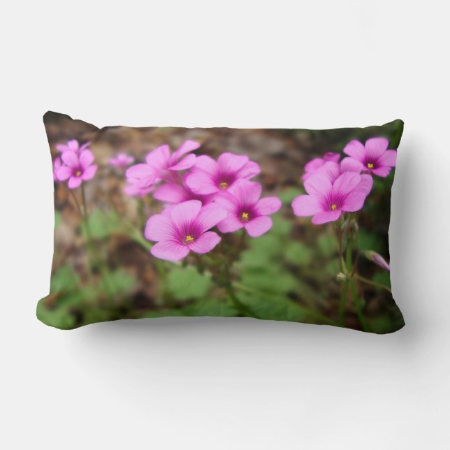 Rectangle Sur mon Coussin de porte (Recto)