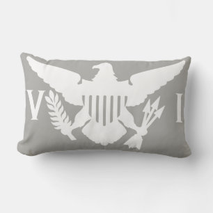 Rectangle U.S. Coussin de drapeau des Îles Vierges