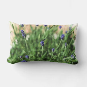 Rectangle Violets Coussin