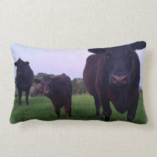 Rectangle Yup Kow maintenant ! Coussin de vache