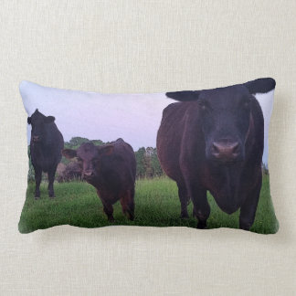 Rectangle Yup Kow maintenant ! Coussin de vache