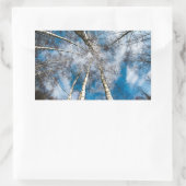 Rectangulaire Beaux arbres qui se dirigent vers le Sticker Sky (Sac)