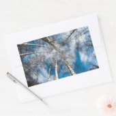 Rectangulaire Beaux arbres qui se dirigent vers le Sticker Sky (Enveloppe)