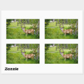 Rectangulaire Belle Buck in the Meadow Sticker (Feuille)