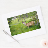 Rectangulaire Belle Buck in the Meadow Sticker (Enveloppe)