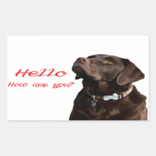 Rectangulaire Bonjour Black Brown Labrador Retriever Sticker Ét