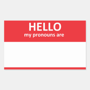 Rectangulaire BONJOUR mes pronoms sont Sticker