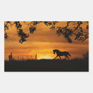 Rectangulaire Cheval dans Sticker coucher de soleil