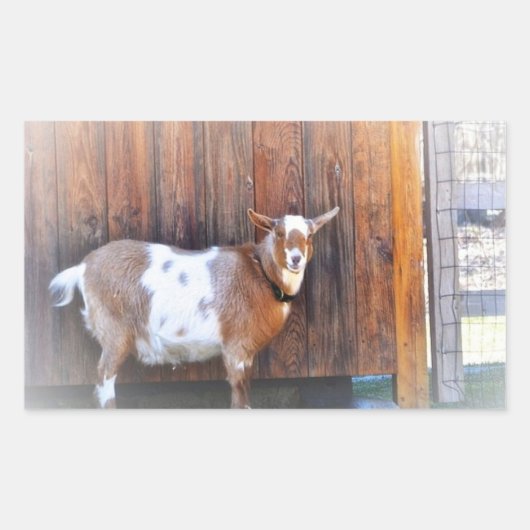 Rectangulaire Chèvre Sur Le Sticker De La Ferme (Devant)