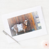Rectangulaire Chèvre Sur Le Sticker De La Ferme (Enveloppe)