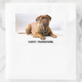 Rectangulaire Mastiff Deadpan Chien Joyeux Sticker de Noël (Sac)