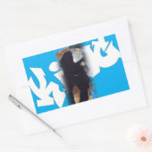 Rectangulaire Saba King Sticker Rectangle (Enveloppe)