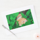 Rectangulaire Sticker (Enveloppe)