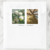 Rectangulaire Sticker Acorns to Oaks (Sac)