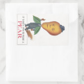 Rectangulaire Sticker Antique Antrhopomorphes Fruit Pear Man Pun (Sac)