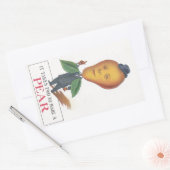 Rectangulaire Sticker Antique Antrhopomorphes Fruit Pear Man Pun (Enveloppe)