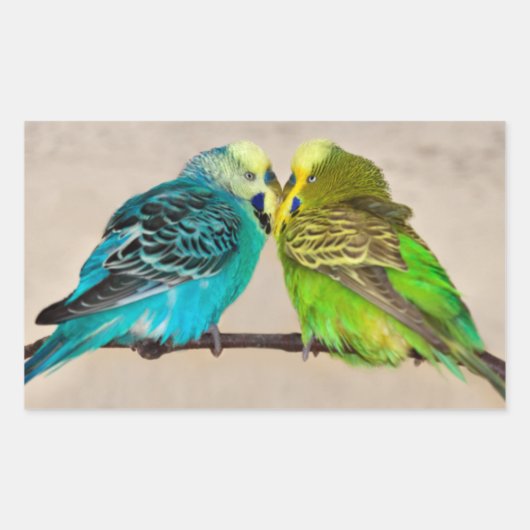 Rectangulaire Sticker Budgies in Love (Devant)