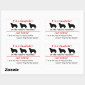 Rectangulaire Sticker Cavaholic Cavalier King Charles (Feuille)