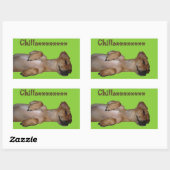 Rectangulaire Sticker Chillaxin Chiweenie (Feuille)