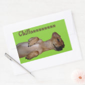 Rectangulaire Sticker Chillaxin Chiweenie (Enveloppe)