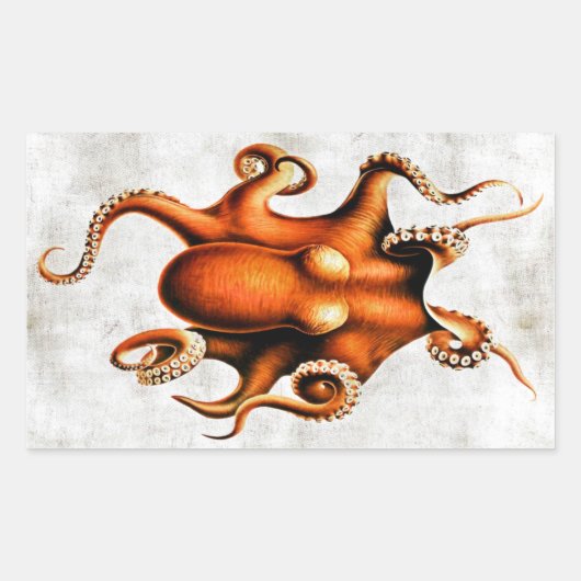 Rectangulaire Sticker de Cephalopoda des îles Hawaii (Devant)