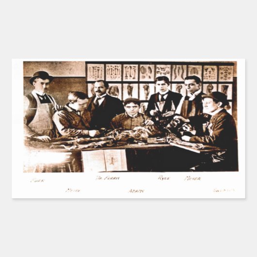 Rectangulaire Sticker de classe d'anatomie Médicale Yale (Devant)