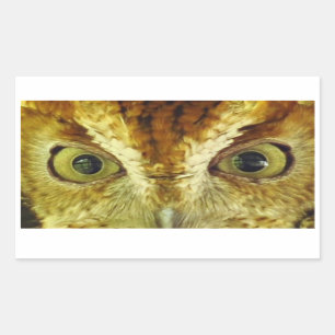 Rectangulaire Sticker de hibou de chenille des yeux de hibou