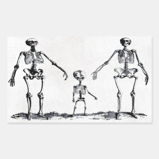 Rectangulaire Sticker de la famille Skeleton (Devant)