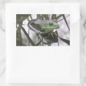 Rectangulaire Sticker de réflexion de grenouille (Sac)