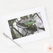 Rectangulaire Sticker de réflexion de grenouille (Enveloppe)