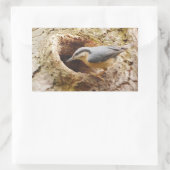 Rectangulaire Sticker de trou de nuthatch et de pic (Sac)