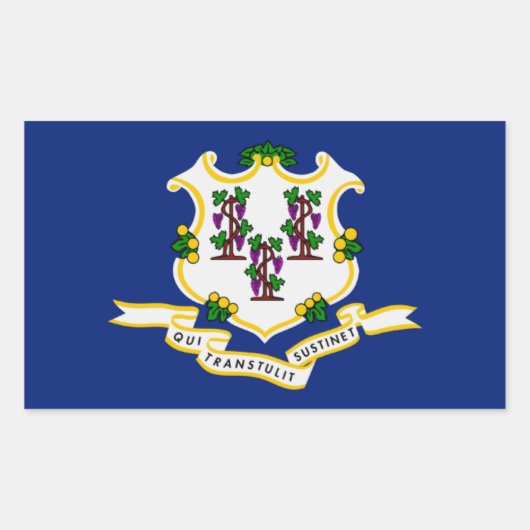 Rectangulaire Sticker d'indicateur d'état du Connecticut (Devant)