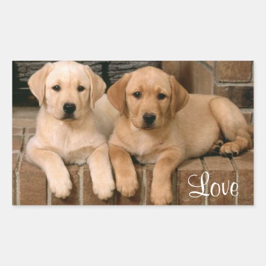 Rectangulaire Sticker Love Labrador Retriever Puppies (Devant)