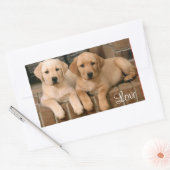 Rectangulaire Sticker Love Labrador Retriever Puppies (Enveloppe)