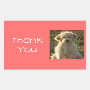 Rectangulaire Sticker Merci Goldendoodle Chien Chien Coquelicot