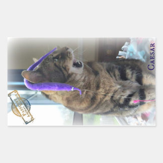 Rectangulaire Sticker PAR César