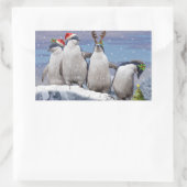 Rectangulaire Sticker Pingos Party (Sac)