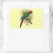 Rectangulaire Sticker Rectangle Ara Erythrocephala (Sac)