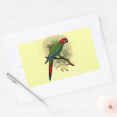 Rectangulaire Sticker Rectangle Ara Erythrocephala (Enveloppe)