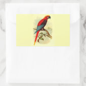 Rectangulaire Sticker Rectangle Ara Gossei (Sac)