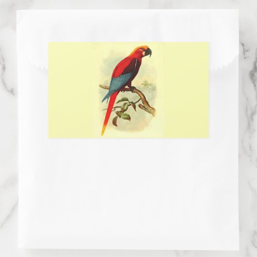 Rectangulaire Sticker Rectangle Ara Gossei (Sac)