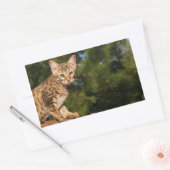 Rectangulaire Sticker Rectangle de chat Savannah (Enveloppe)